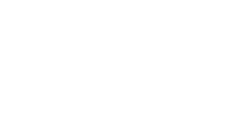 Avantis Investors by American Century Investments