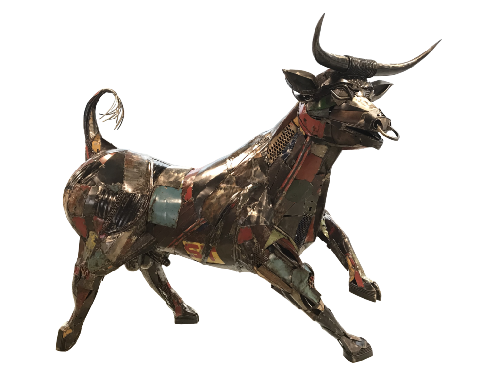 Scrappy Bull Isolated 1024x768